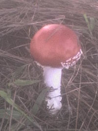 DSC00067.JPG