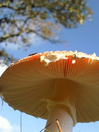 Foto-0009.jpg