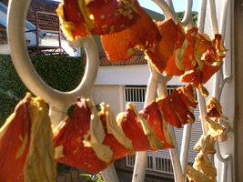 DSCF7268.JPG