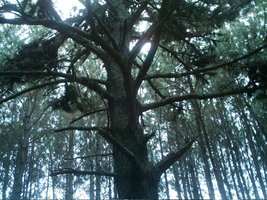 imag0096.jpg