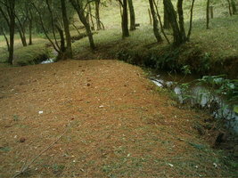 imag0107c.jpg