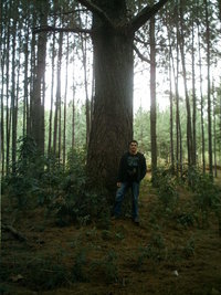 imag0100.jpg