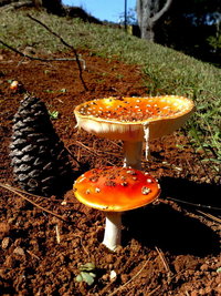 070720091057.jpg