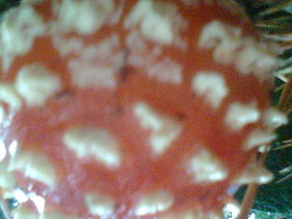 Imag029.jpg