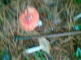 Imag031.jpg