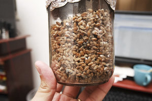 contam025.JPG