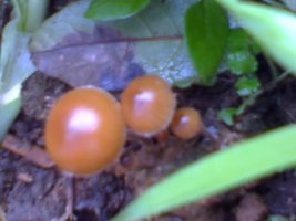 17-07-09_0946.jpg