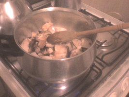 agaricus campestris na panela 019.jpg