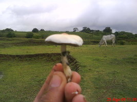 DSC06210.JPG