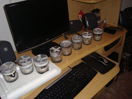 DSC02143.jpg
