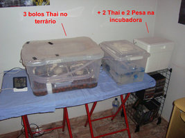 DSC02149.jpg
