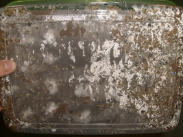 S6303340.JPG