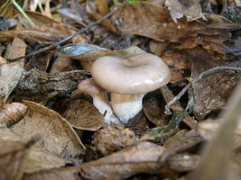 S6302870.JPG