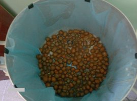 caldeirao sem pins.jpg