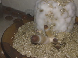 22102009220.jpg