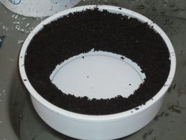 Imagem 009.jpg
