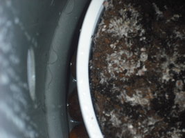DSCF3303.JPG