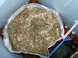 Imagem 002.jpg