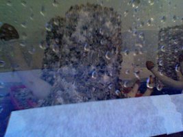 Foto6.jpg