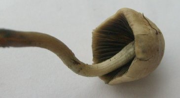 S6307908.JPG S6307908.JPG