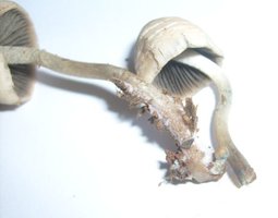 S6307923.JPG S6307923.JPG