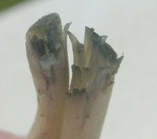 S6307942.JPG S6307942.JPG