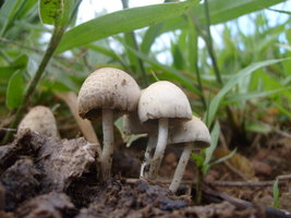 S6307904.JPG S6307904.JPG
