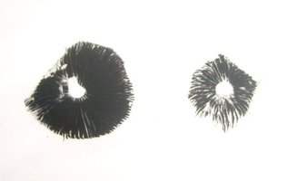 S6307955.JPG S6307955.JPG