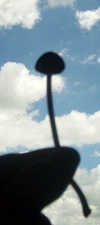 S6308025.JPG S6308025.JPG