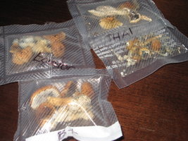 21maio09 AllPCs.jpg