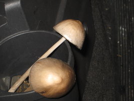 CogumelosPromi2009 013.jpg