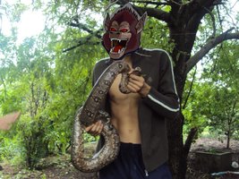 imagem2.JPG
