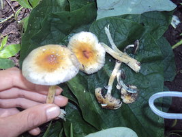 DSC00322.JPG