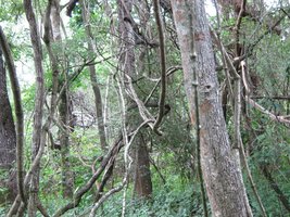 IMG_1692.jpg