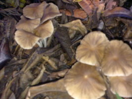 18012010011.jpg
