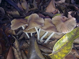18012010012.jpg