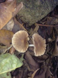 18012010014.jpg