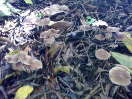 18012010022.jpg