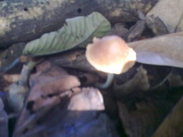 18012010024.jpg