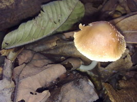 18012010025.jpg