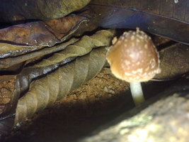 18012010026.jpg