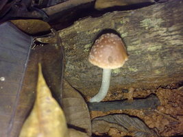 18012010027.jpg
