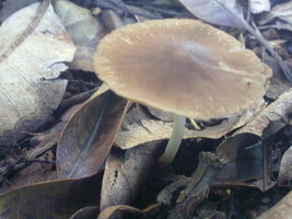 18012010032.jpg