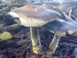 18012010035.jpg