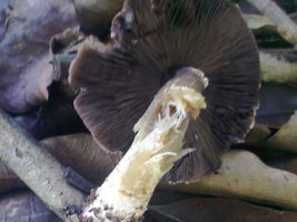 18012010036.jpg