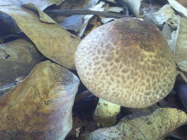 18012010039.jpg