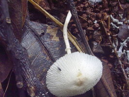 18012010044.jpg