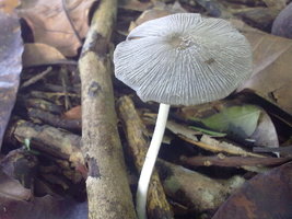 18012010045.jpg