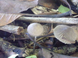 18012010046.jpg
