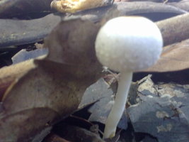 18012010049.jpg